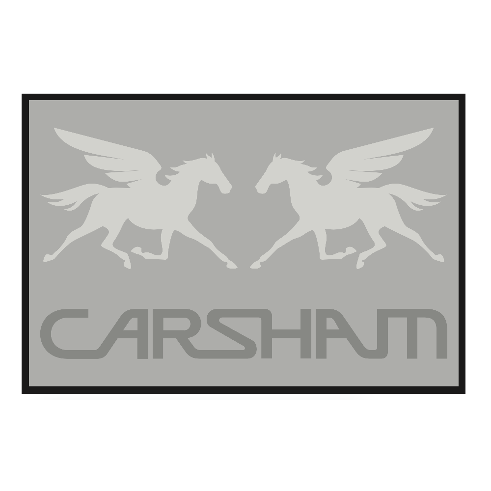 Arsham Studio Carsham Floor Mat (2 ft x 3 ft)