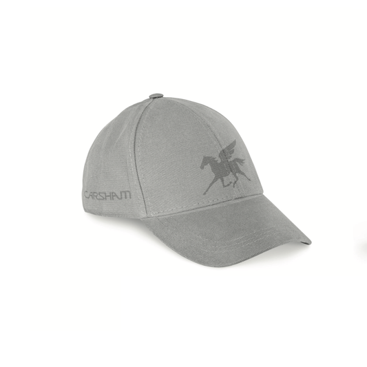 Arsham Studio Carsham Hat - grey